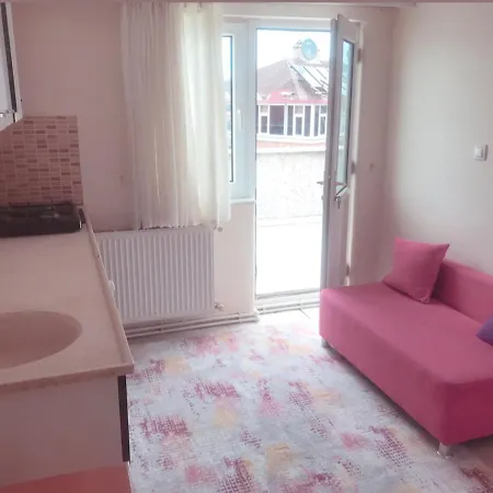 House Uzungol Apart Otel Trabzon