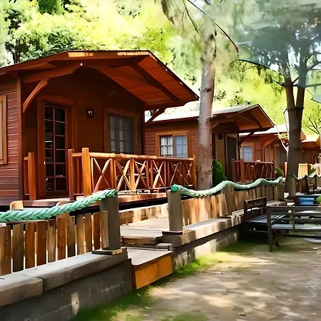 Apart Otel House Uzungol Trabzon